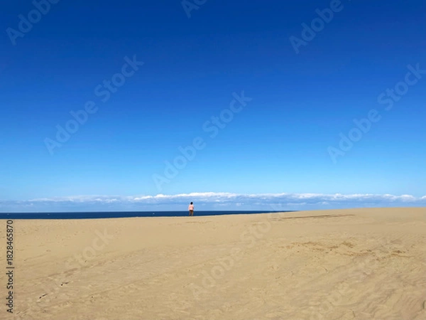 Obraz 冬の鳥取砂丘　日本