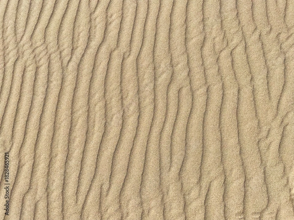 Obraz 砂漠（砂丘）の風紋