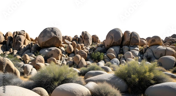 Fototapeta Desert landscape with boulders and sparse vegetation against a black sky