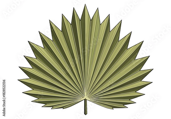 Fototapeta Palm leaf silhouette