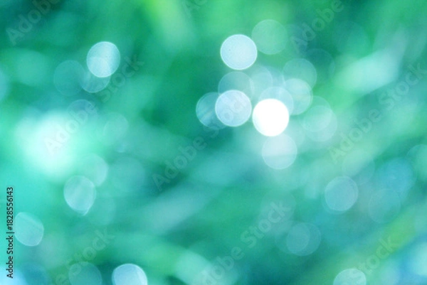 Obraz キラキラ背景素材 ボケ グリーン 植物 春 きらめき 爽やか