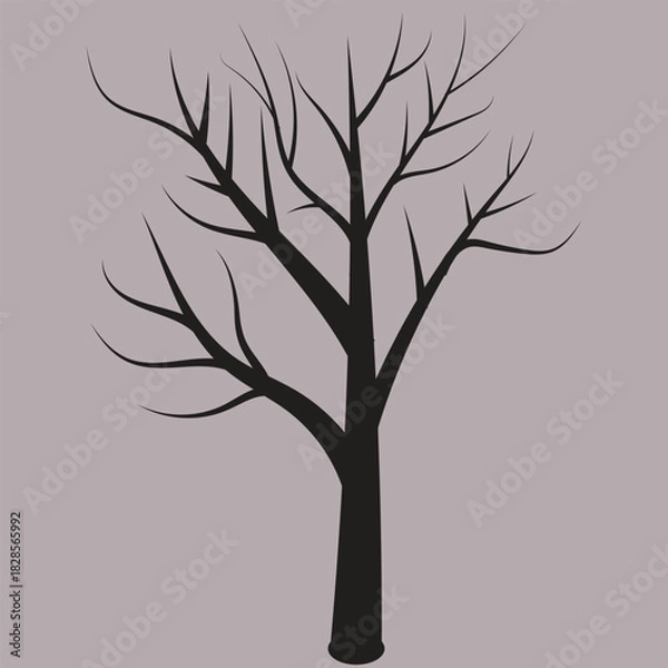 Fototapeta Bare Tree Silhouette