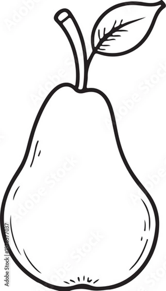 Obraz Pear Fruit Hand-drawn Sketch Drawing Vector Illustration, Line Linear Symbol Engraving Coloring Book, Black and White Isolated
