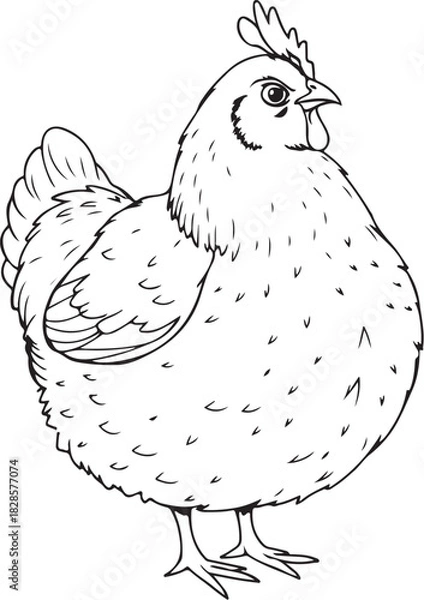 Obraz Fat Hen Chicken Hand-drawn Sketch Drawing Vector Illustration, Line Linear Symbol Engraving Coloring Book, Black and White Isolated