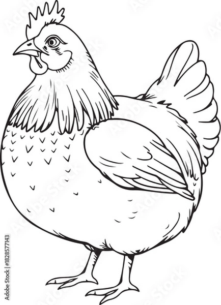 Obraz Fat Chicken Hen Poultry Farm Domestic Bird Hand-drawn Sketch Drawing Vector Illustration, Line Linear Symbol Engraving Coloring Book, Black and White Isolated