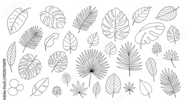 Obraz A collection of outlined tropical and exotic leaves, featuring various shapes and styles of jungle foliage in a clean line art drawing.