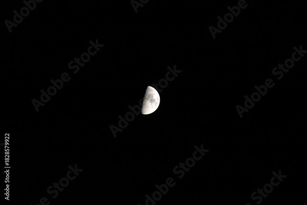 Fototapeta 綺麗な半月