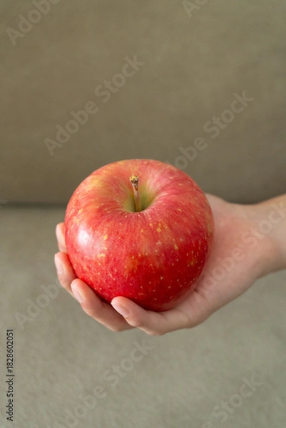 Obraz 赤いリンゴを持った子どもの手
