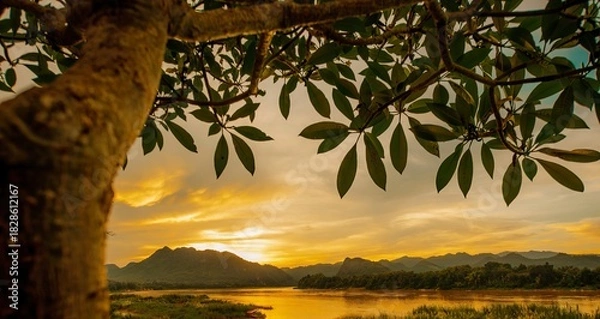 Obraz Beautiful mountains river