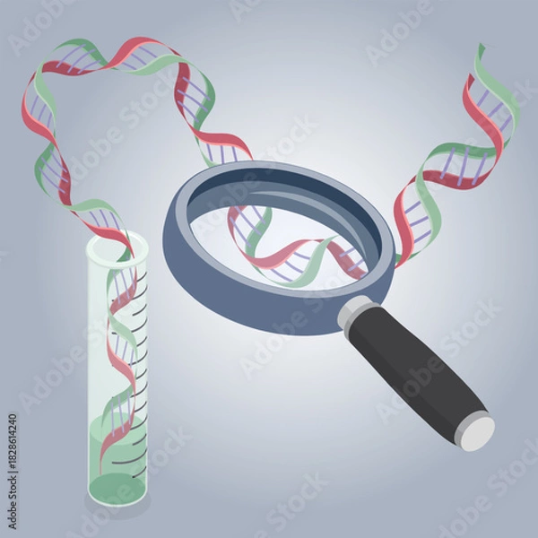 Fototapeta Laboratory test tube with a DNA helix inside under a magnifying glass. Examination of deoxyribonucleic acid. Genetic test concept. 3d flat isometric vector illustration.