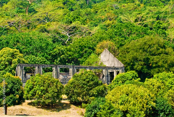 Obraz camouflaged ruins
