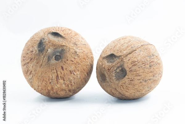 Obraz  Coconuts isolated on white background