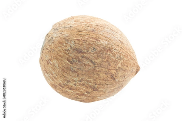 Fototapeta  Fresh Coconuts isolated on white background