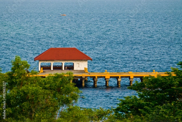 Obraz pier