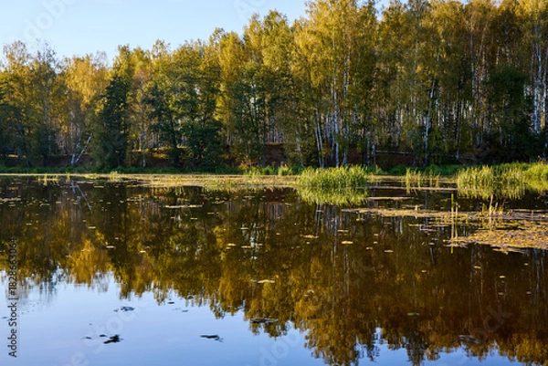 Fototapeta Serene Riverbank Scene with Lush Greenery