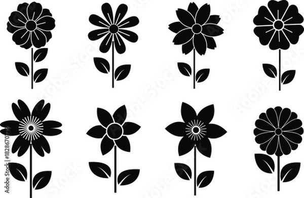 Fototapeta Assorted black and white floral illustrations on white background