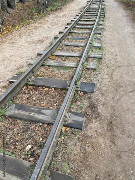 Obraz Old railway rails closeup on a grass