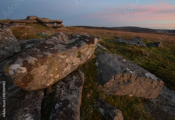 Fototapeta Fox Tor Bodmin Moor Cornwall