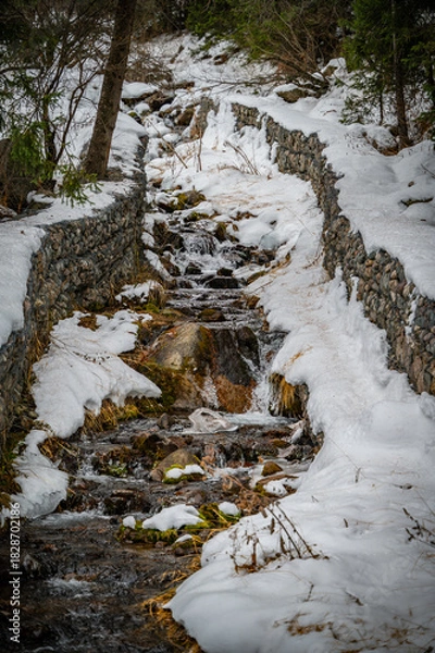 Obraz river in winter