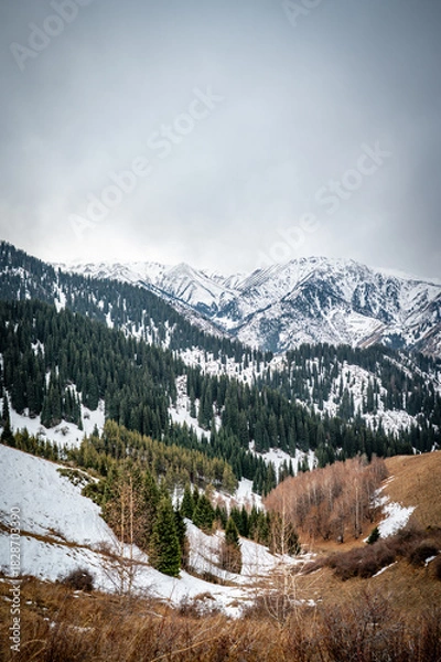 Obraz snow covered mountains