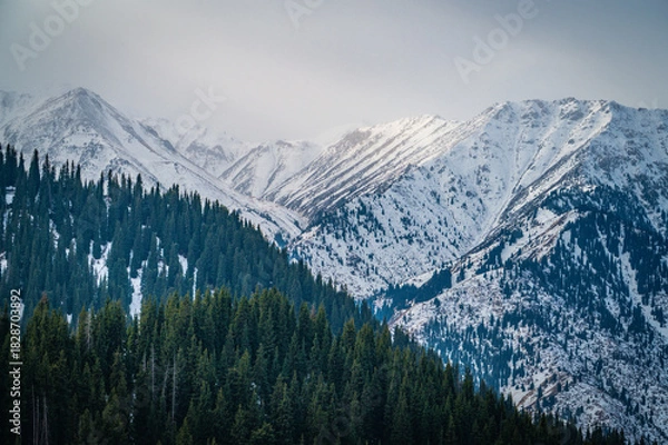 Obraz mountain landscape in winter