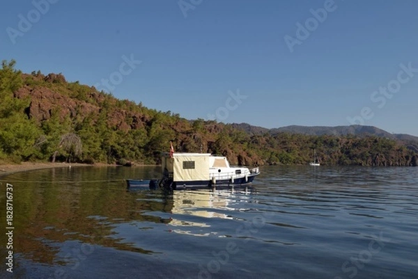 Obraz Beekeeping supplies. Items related to beekeeping.
