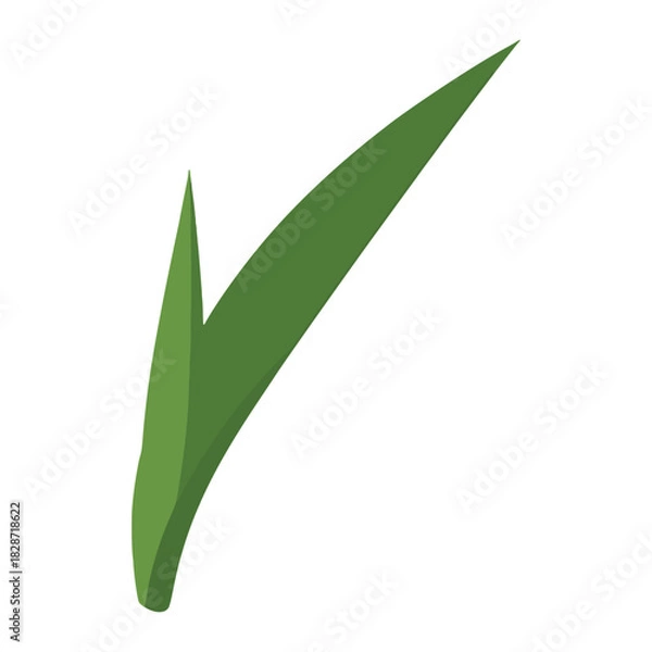 Obraz Green Leaf Vector Illustration - Plant Element for Design