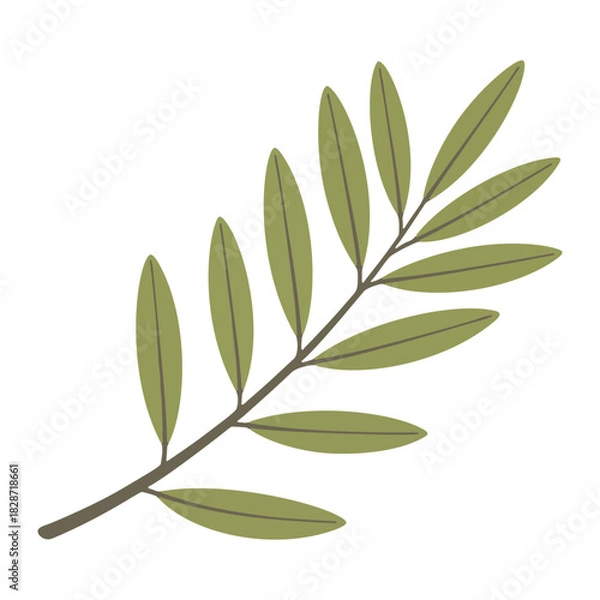 Obraz Elegant green olive branch botanical element, isolated vector graphic