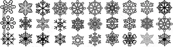 Fototapeta Collection of various snowflake designs in black and white isolated on a white background pattern vector