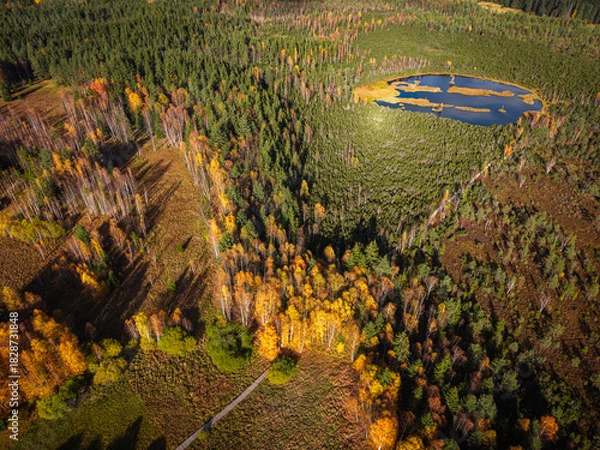Fototapeta Aerial View of Autumn Forest and Bog Lake near Borová Lada, Czech Republic