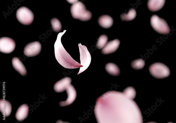 Obraz フォーカスされた花びらが舞う オーバーレイ用ロマンチック背景　桜吹雪　桜　舞う