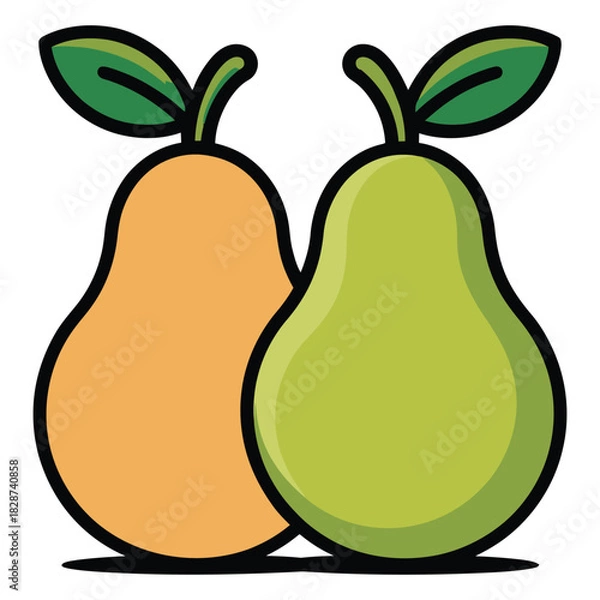 Fototapeta Two ripe pears green and yellow side by side illustration image