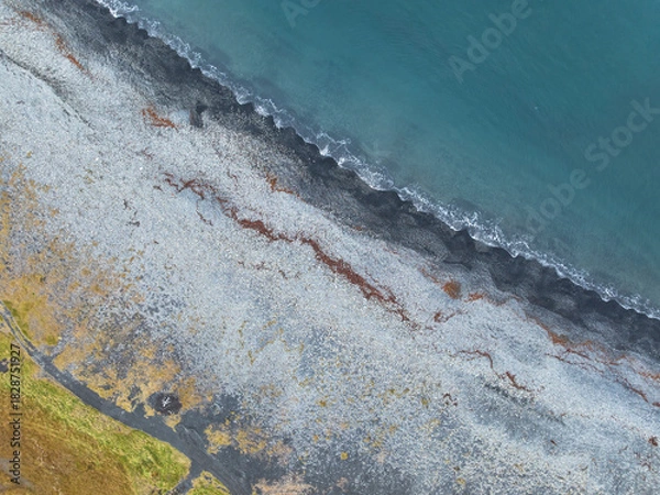 Obraz Aerial view of a coastline scenery with black beach in Iceland