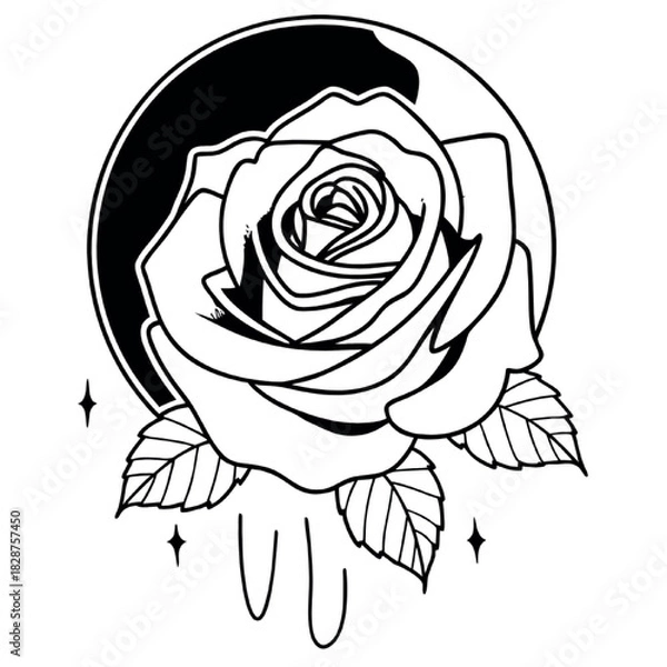 Obraz rose on a black background