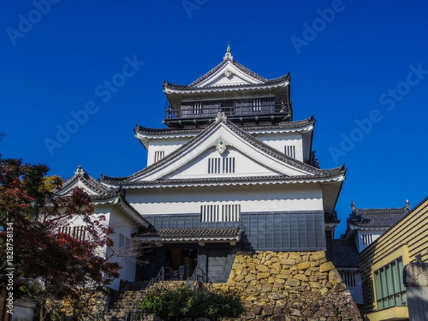 Obraz 【愛知県】岡崎市・岡崎城
