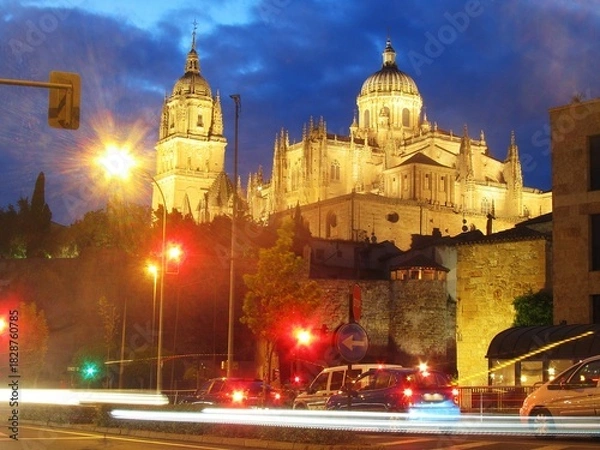 Obraz Salamanca Cathedral by night.