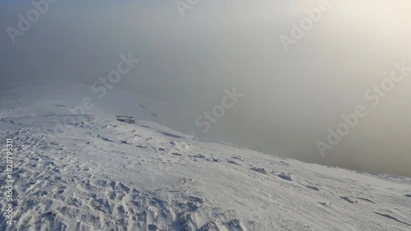 Obraz ski track in the mountains
