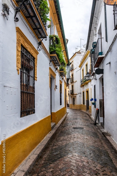 Fototapeta Old typical narrow street in Cordoba with old buildings with white walls decorated with colorful flower pots
