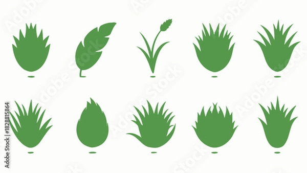 Fototapeta Botanical Greenery Seamless Pattern with Plants and Grass Silhouettes Vector Background