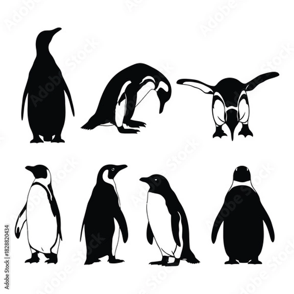 Fototapeta Collection of diverse penguin illustrations, showcasing different stances and forms, isolated on