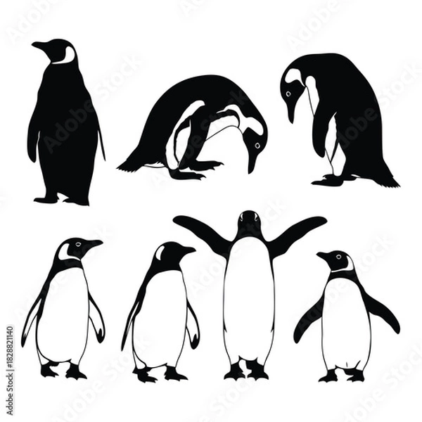 Fototapeta Collection of various penguin silhouettes in different poses, black and white, isolated on