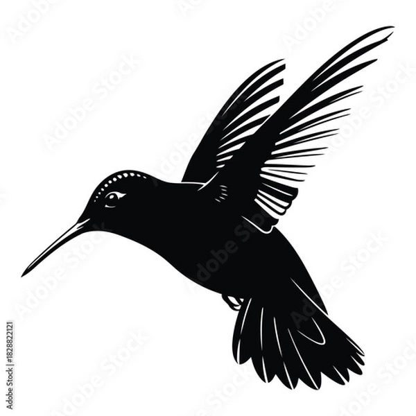 Fototapeta Elegant black silhouette of a hummingbird with outstretched wings in flight, isolated on