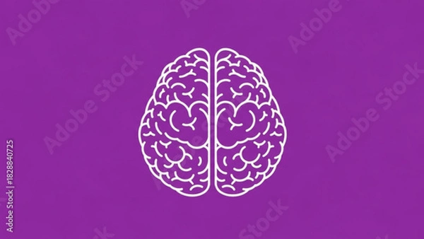 Fototapeta Minimalist white line art illustration of a human brain viewed from above against a solid vibrant purple background, symbolizing thought and intelligence