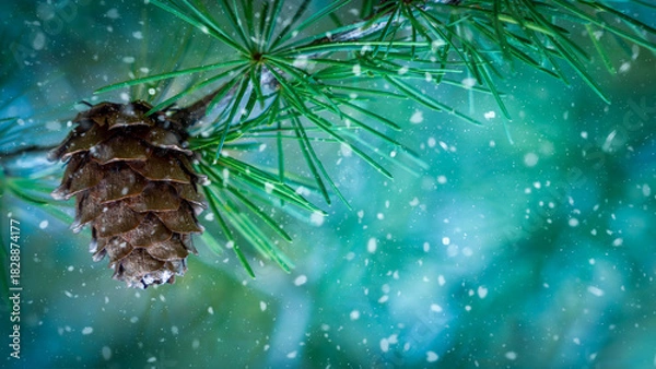 Obraz Snowy pine cone on evergreen branch with winter bokeh background