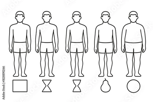 Fototapeta Five male body types outline figures with geometric shapes for health and fitness concepts