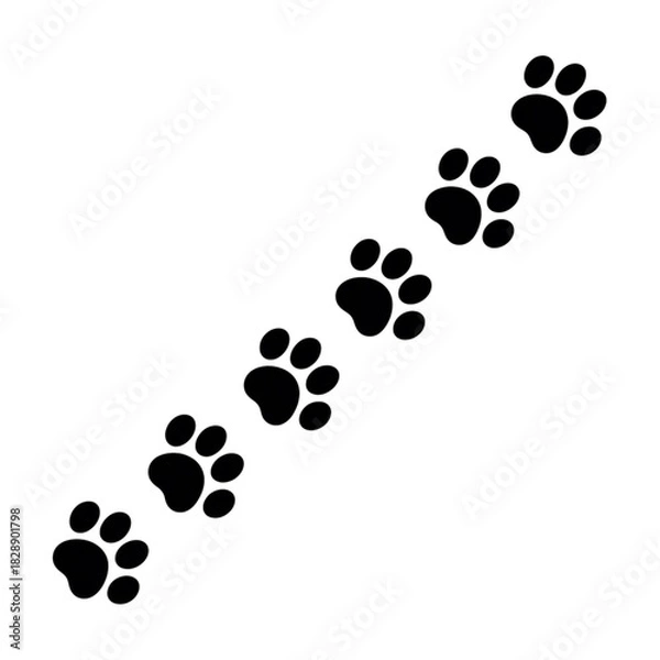 Fototapeta Black paw prints walking diagonally, isolated on transparent background