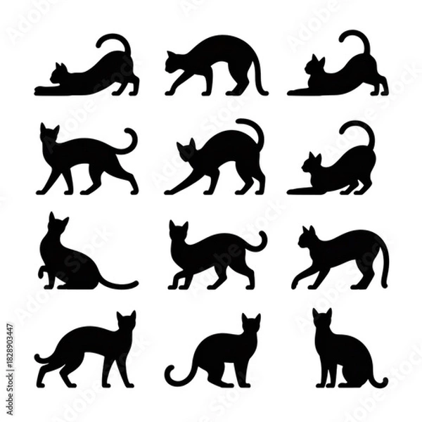 Fototapeta Black cat silhouettes in various poses, isolated on transparent background