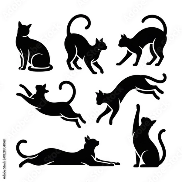 Fototapeta Black cat silhouettes in various poses, isolated on transparent background