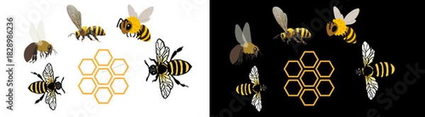 Fototapeta PNG image of Honeybees and honeycomb illustration showcasing bee pollination and honey production in a natural environment with detailed wings and striped bodies on transparent background