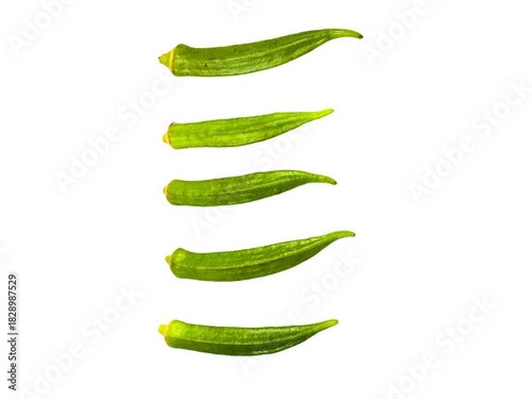 Fototapeta PNG image of  Fresh okra pods arranged vertically showcase vibrant green hues and natural textures for culinary or agricultural purposes on transparent background